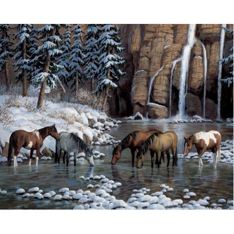 Spirit of the Rockies - Wild Horses