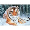 Stunning Tiger Under Snowfall