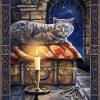 The Tabby Cat - Diamond Painting Kit