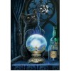 The Wizard Cat by Lisa Parker