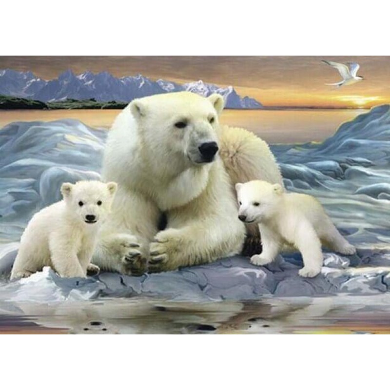 Polar Bear Family