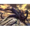 Black Dragon on the Rock
