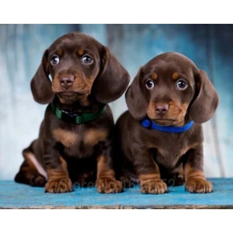 Alpine Dachsbracke Diamond Painting