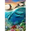 Killer Whales & Dolphins Diamond Painting