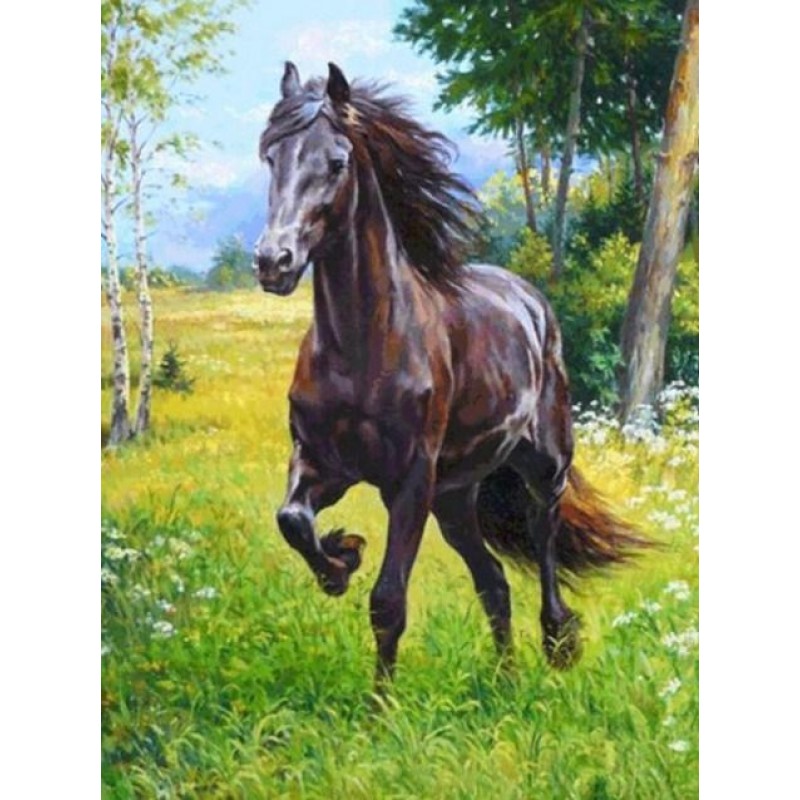 Horse Running in the...