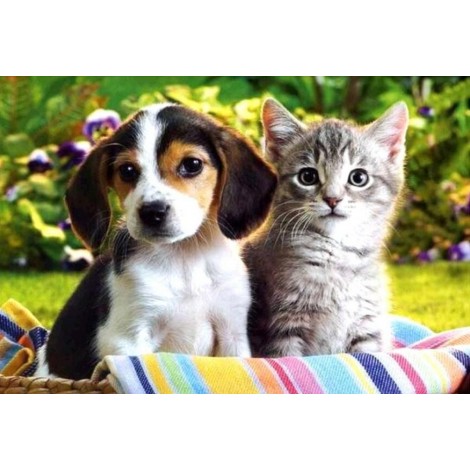 Kitty & Puppy - Diamond Painting Kit