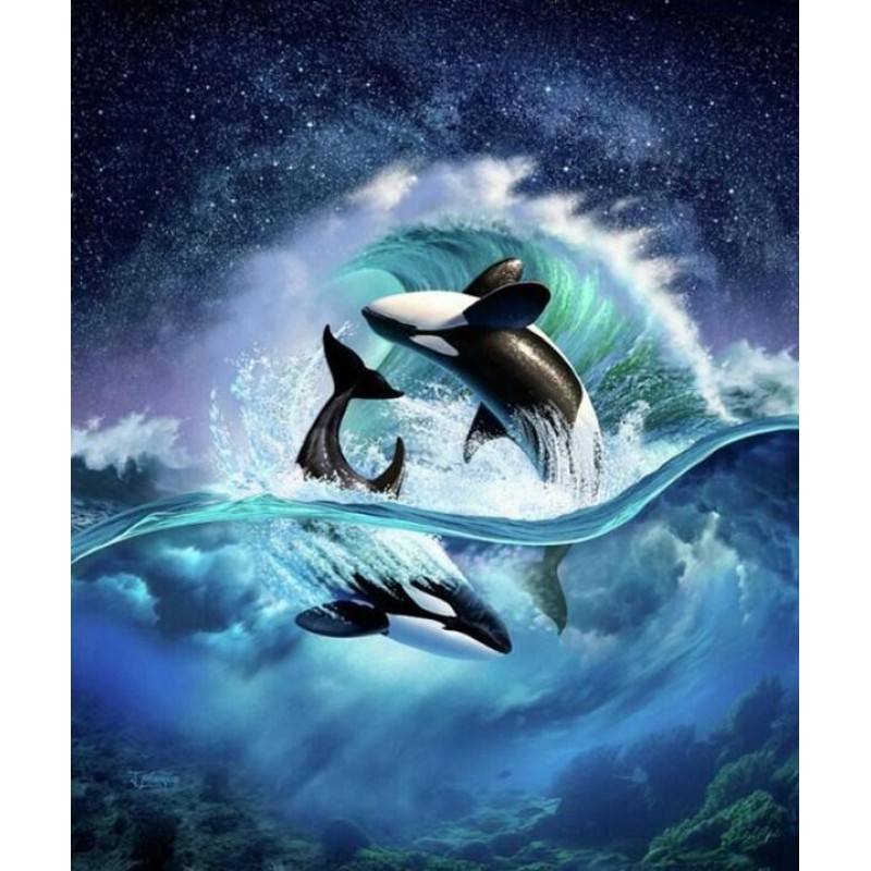 Killer Whales Rollin...