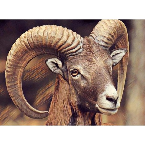 Mountain Goat with Big Horns