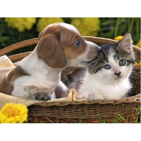 Cute Friendship - Diamond Painting Kit