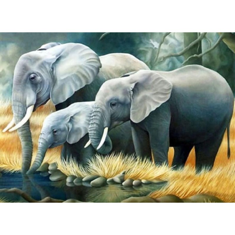 Elephant Family Drin...