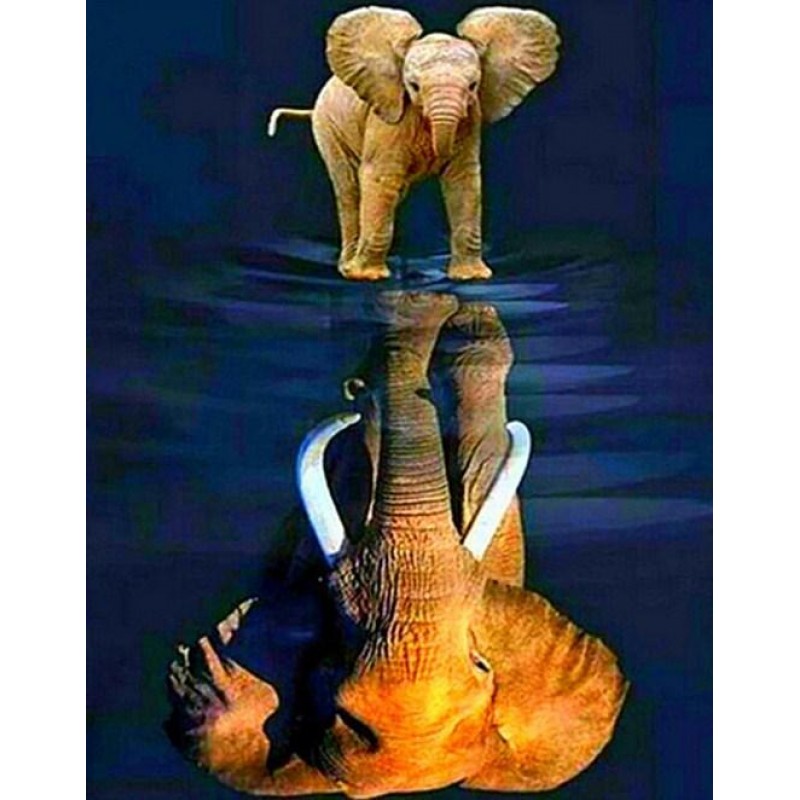 Elephant Baby Dreami...