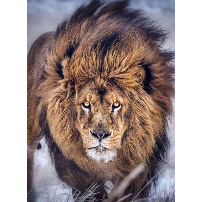 Furious Lion Diamond...