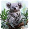 Koala Bear with Baby