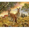 Group of Australian Animals