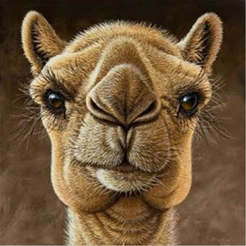 Camel Diamond Painti...