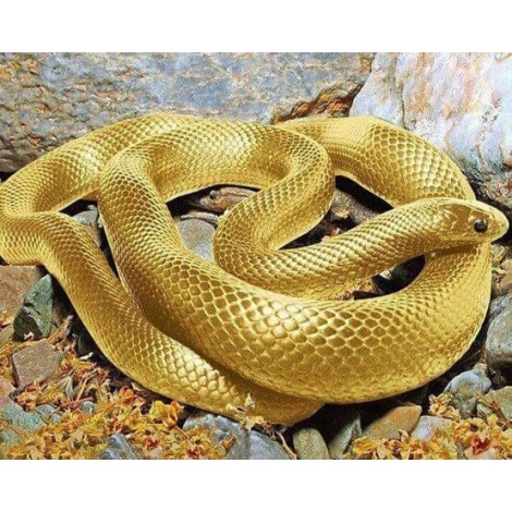 Golden Snake DIY Diamond Painting