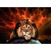 Galaxy Lion - Paint by Diamonds
