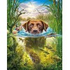 Swimmer Dog - Paint by Diamonds