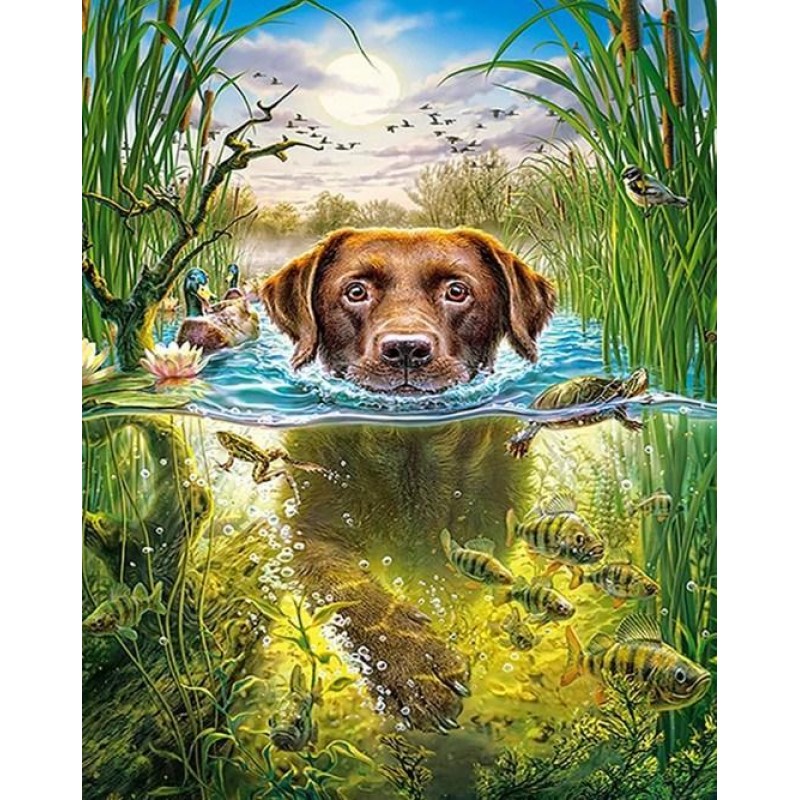 Swimmer Dog - Paint ...