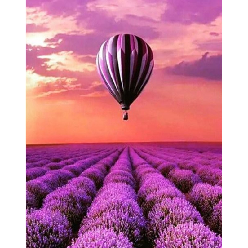 Lavender Fields &amp...