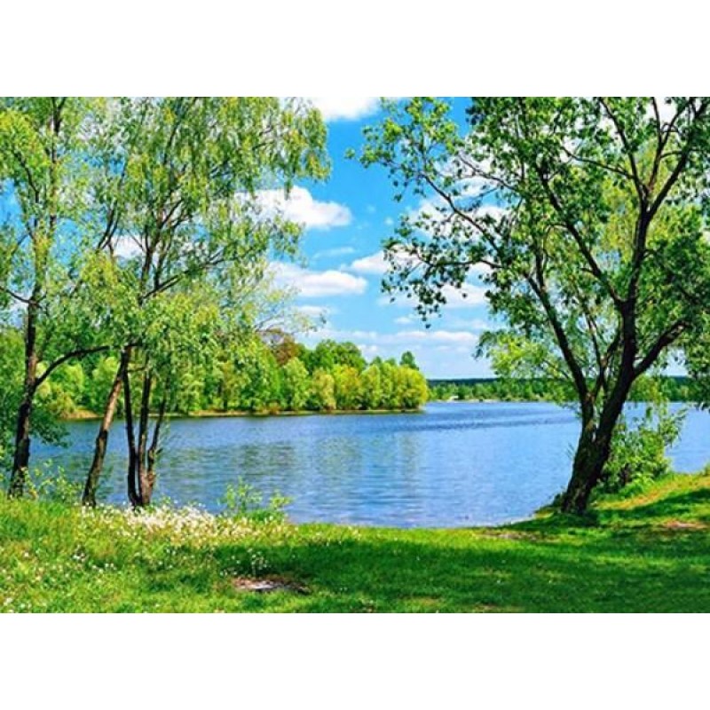 Summer Lake - Paint ...