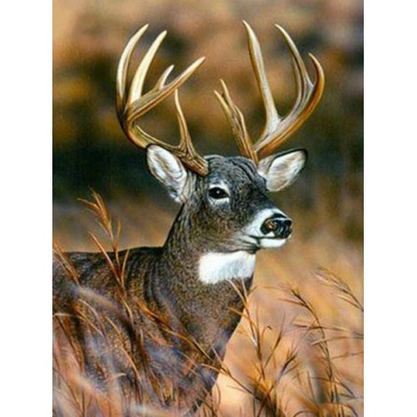 Buck Deer - Paint with Diamonds