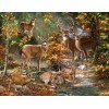 Deer Forest - Paint by Diamonds