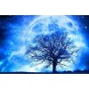 Moonlight Tree - Diamond Painting Kit