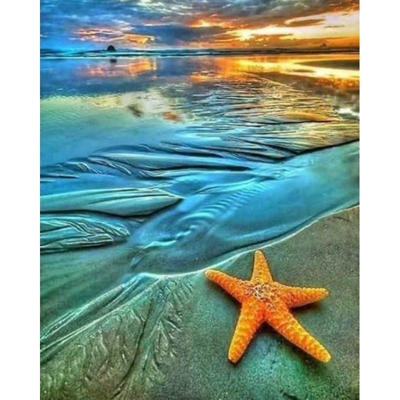 The Starfish on the ...