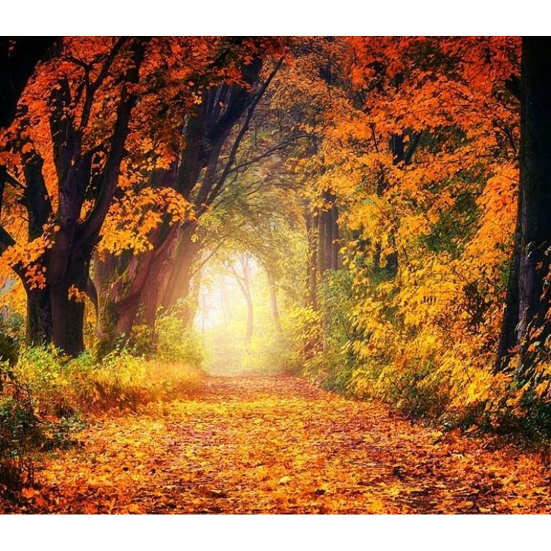 Summer to Fall - Pai...