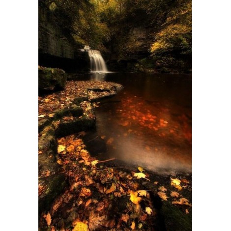 Waterfall in an Autumn Forest