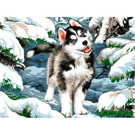 Beautiful Husky - Paint by Diamonds