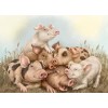 Pigs Family - Diamond Painting Kit