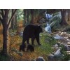 Black Bear with Babies