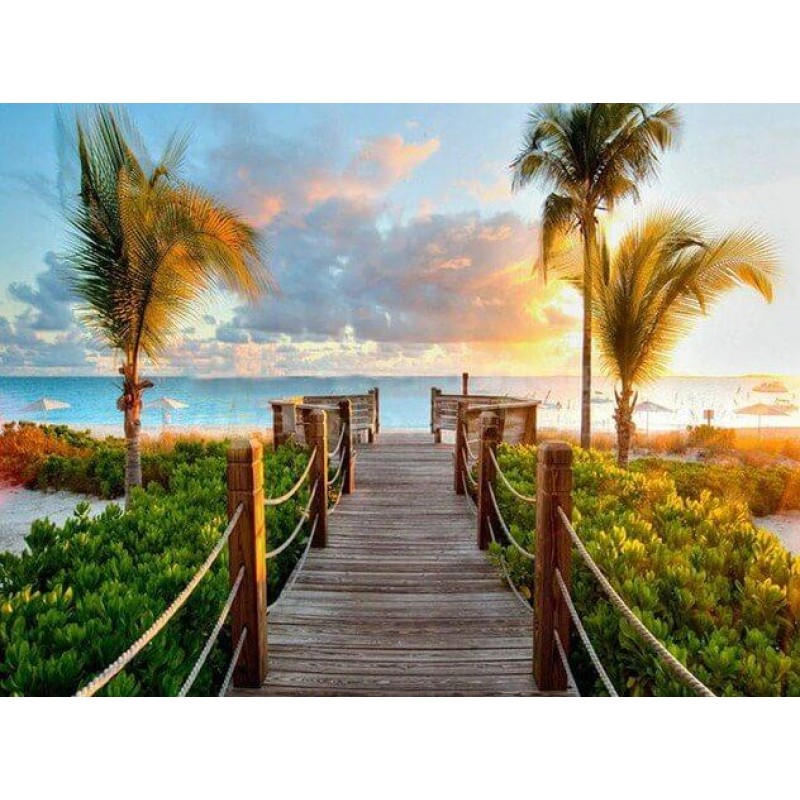 Summer Scenic Beauty