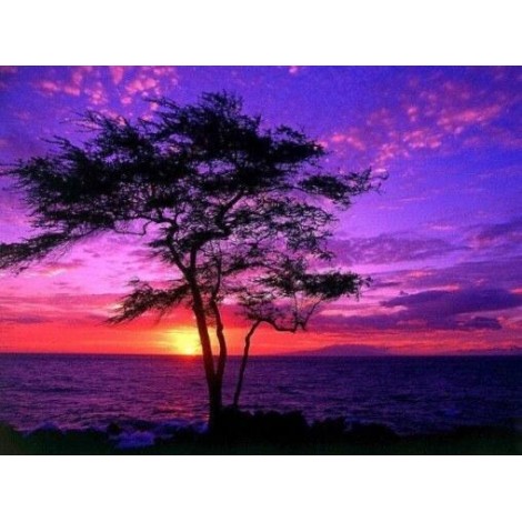 Purple Sunset in Hawaii
