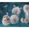 Hedgehog Dandelion Diamond Painting