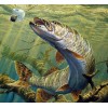 Fishing Art Diamond Painting