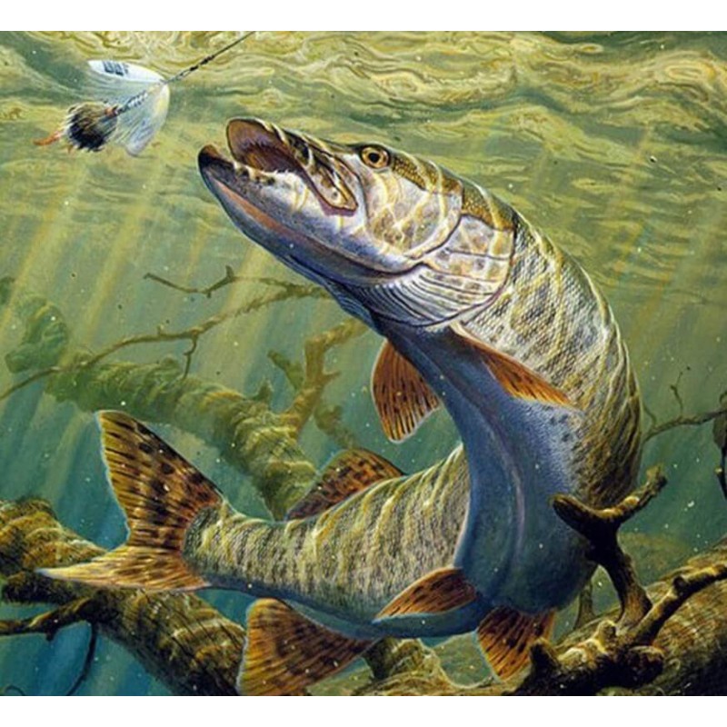 Fishing Art Diamond ...