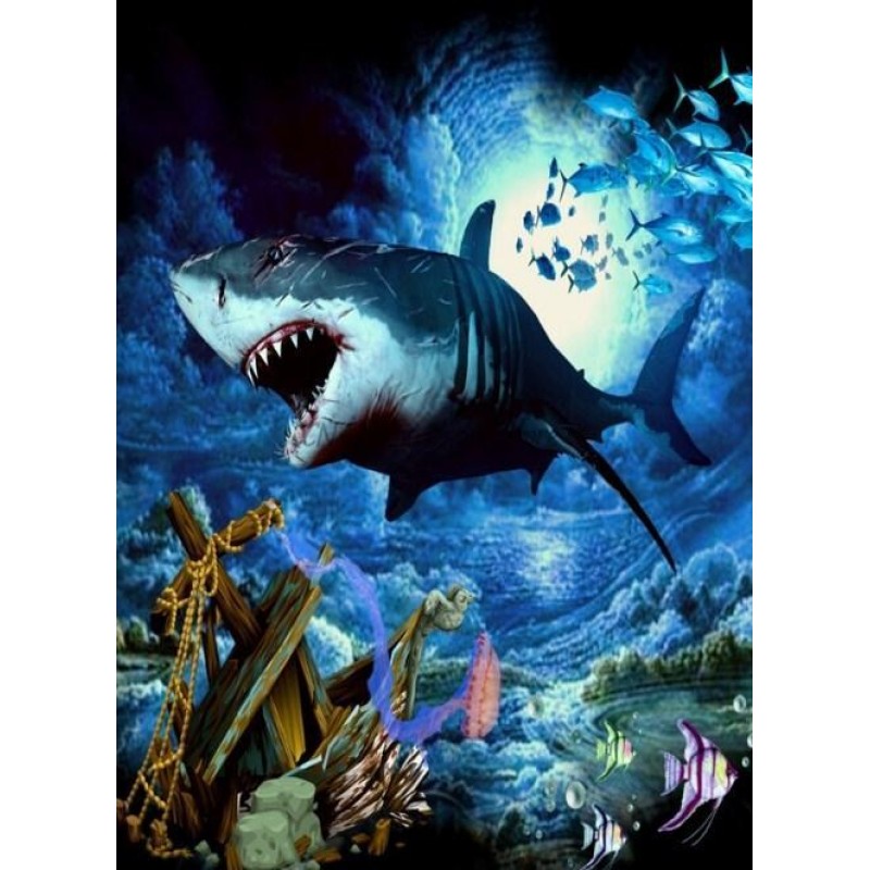 Angry Shark - Paint ...