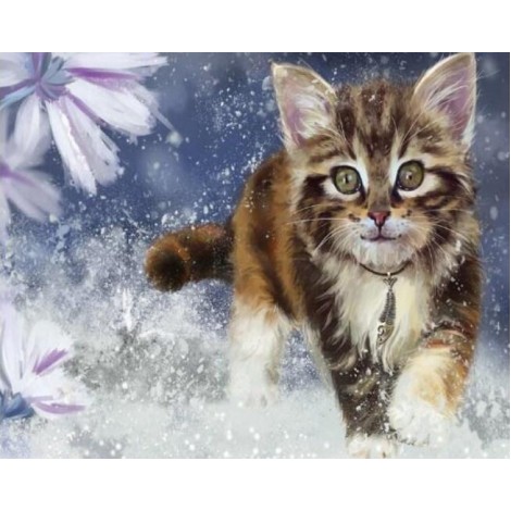 Cat Running in Water