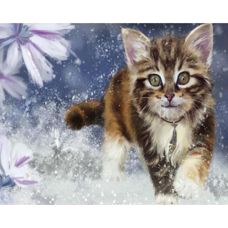 Cat Running in Water