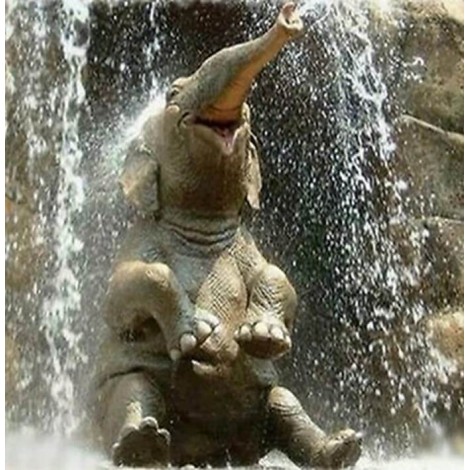 Elephant Baby Playing in Water