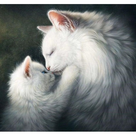 Fluffy White Cats