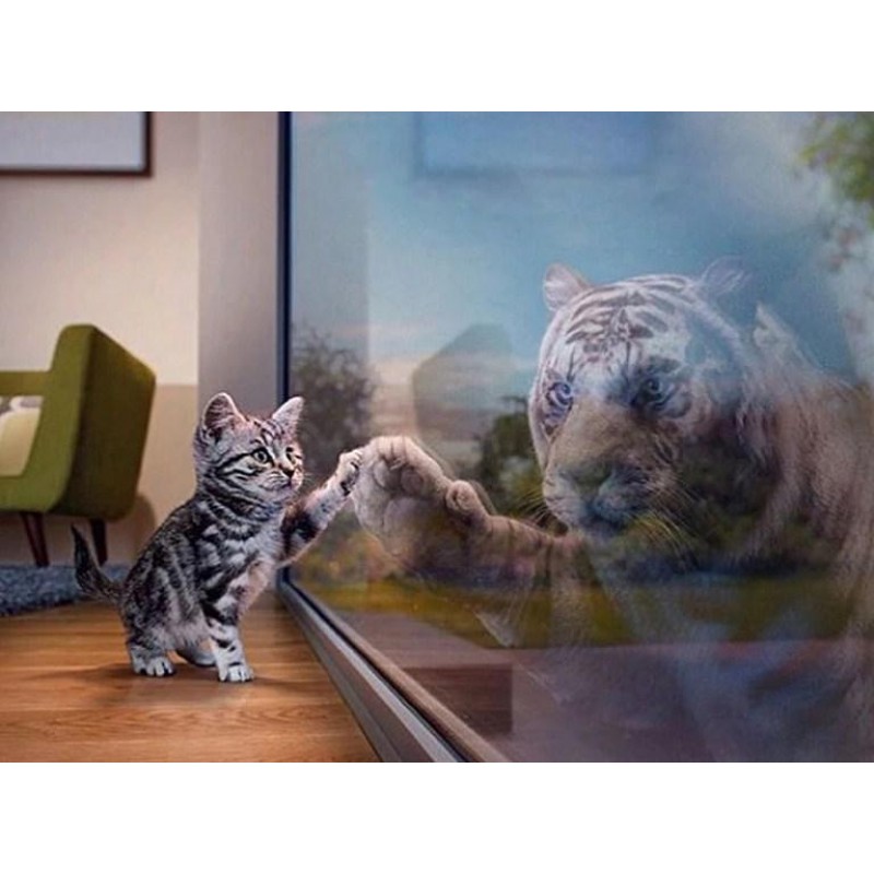 Cat & Tiger Refl...