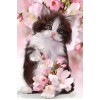 Cat in Cherry Blossom