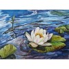Water Lilly - Diamond Painting Kit