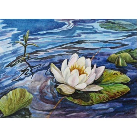 Water Lilly - Diamond Painting Kit
