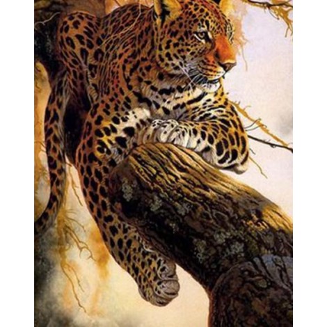 Resting Leopard - Paint by Diamonds