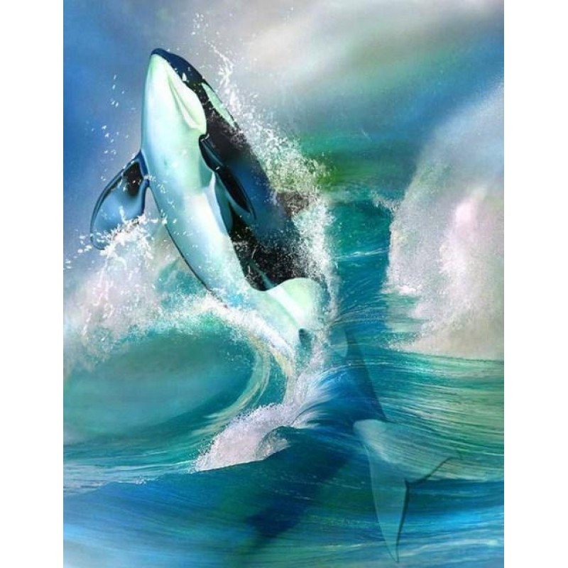 Killer Whale - Paint...
